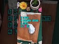 Mother’s Day diy rock art