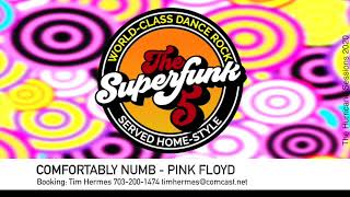 Super Funk 5 - Comfortably Numb by Pink Floyd - Cover screenshot 5