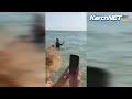 Восторг! Дельфины пируют на керченском пляже