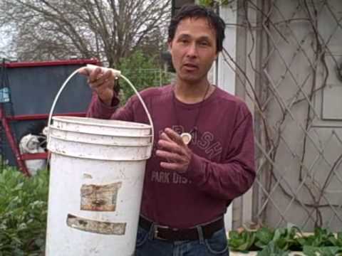 The Many Uses Of A 5 Gallon Plastic Bucket In The Garden Youtube