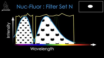 Fluorescence Filters: Imaging Multiple Fluorophores & Dealing with Bleed-through