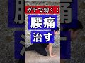 ガチで効く腰痛ストレッチ#腰痛#骨盤矯正#ストレッチ