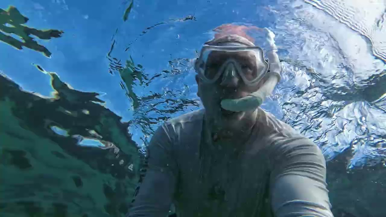 Quick dive Newcastle