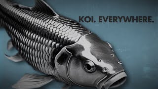 Koi. Everywhere New Music Animated Music Video 2024