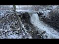 Large Beaver Dam Removal During Frost.
