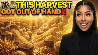 🌾💰 DIESE ERNTE IST VÖLLIG AUSSER KONTROLLE GERATEN‼️ ( prophetisches Wort )