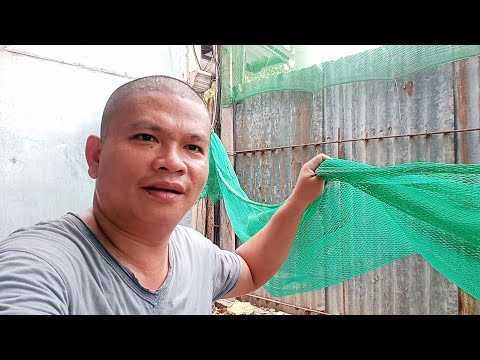 Video: Paano Gumawa Ng Isang Guhit Na Duyan Ng Flight