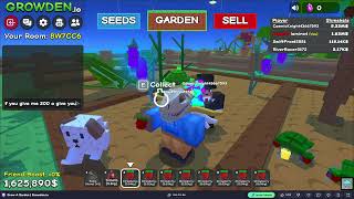 Grow a Garden   Growden io 🌱🥕 Play on CrazyGames   Google Chrome 2026 04 27 17 14 45