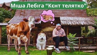 Міша Лебіга - Кєнт телятко