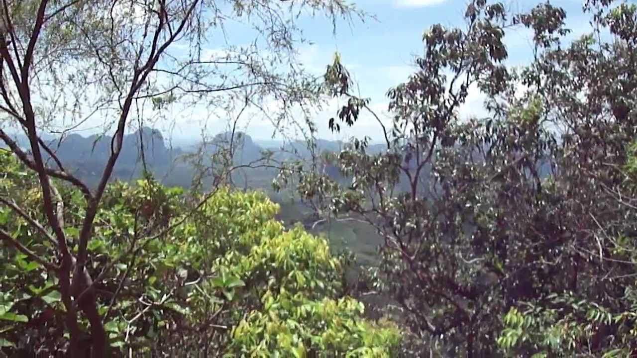 climbing colombia A Giant BEAST! Found on a Hike in Thailand