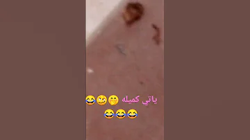 ياتي كميله 