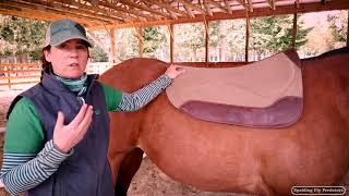 Proper Saddle Fit with Doc Jenni Grimmett DVM, Part 2