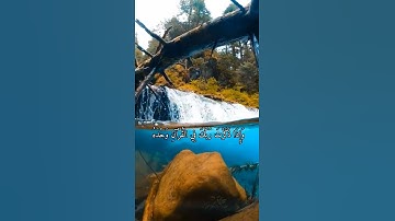 واتس اب قران كريم القارئ يوسف العيدروس من سورة (الإسراء)