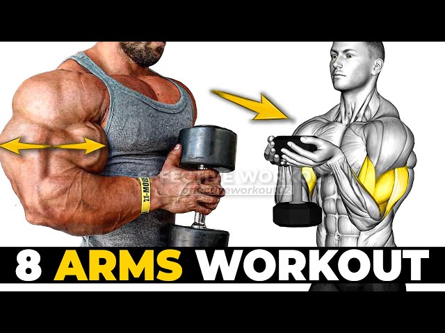 8 Best Biceps and Triceps Exercises for Bigger Arms Fast 