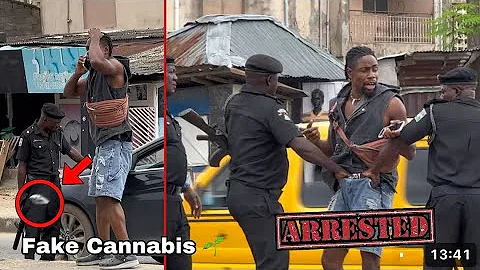 Video 10656241: laugh funny fails cat, cat animal fails funny