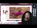 Video in Adobe Express