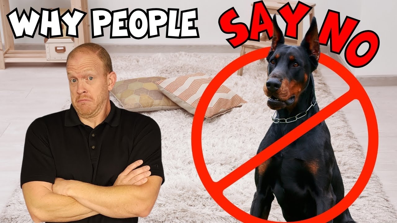 13 Reasons People Say 