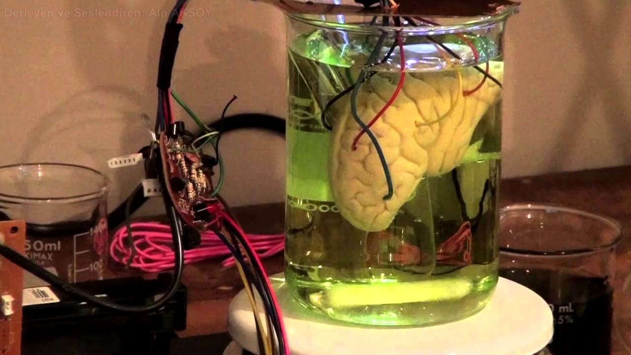 Kavanozdaki Beyin | Matrix Simülasyon Teorisi - YouTube