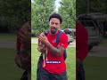 Puppies Take Training Camp 🥺 #shorts #nfl #bills #joshallen #buffalobills #puppies