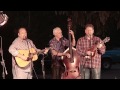 Bluegrass All-Stars - Oh Come, Angel Band