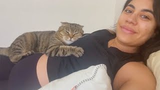 Cat Becomes Totally Obsessed With Their Human  Cat Show Love To Their Human Moments