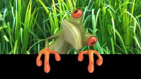 Cincinnati Public Library Summer Reading Program 2009