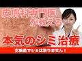 皮膚科専門医が教える本気のシミ治療【総論編】