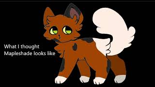 How I thought warrior cats looked VS how they actually look (Pt.2)