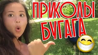 ЛУЧШИЕ ПРИКОЛЫ Июль 2016. Подборка приколов. Смешные видео ЛУЧШИЕ ПРИКОЛЫ Июль 2016. Подборка приколов. Смешные видео