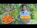 Pick fresh golden fruit from the tree | Amazing golden fruit jam | Homemade golden fruit jam