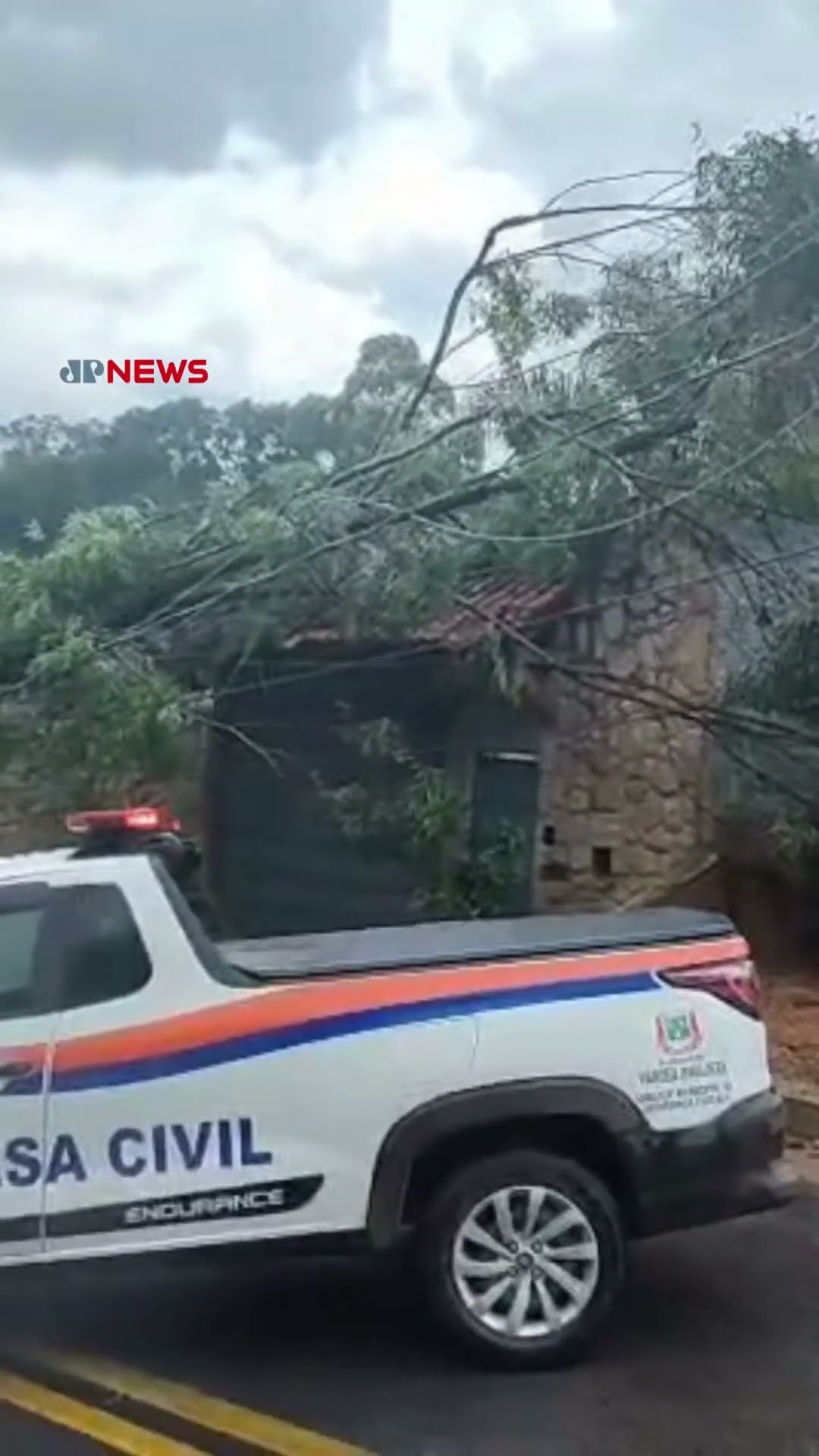 Temporal provoca queda de árvores nesta sexta-feira em São Paulo