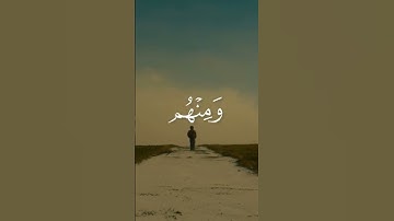 تلاوة هادئه || القارئ محمد أيوب