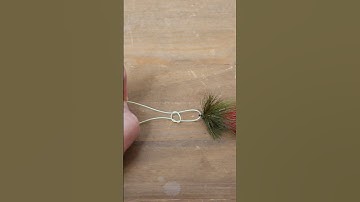 Easiest How To Tie The Non Slip Loop Knot #fishingtips #fishing #flyfish