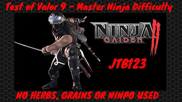 Ninja Gaiden 2 - Test of Valor 9 - Master Ninja - No Herbs, Grains or Ninpo Used