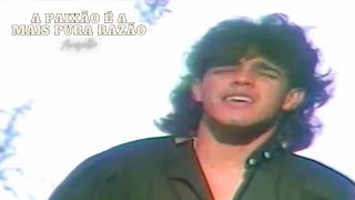 A Paixão é a Mais Pura Razão - Zezé Di Camargo Acapella