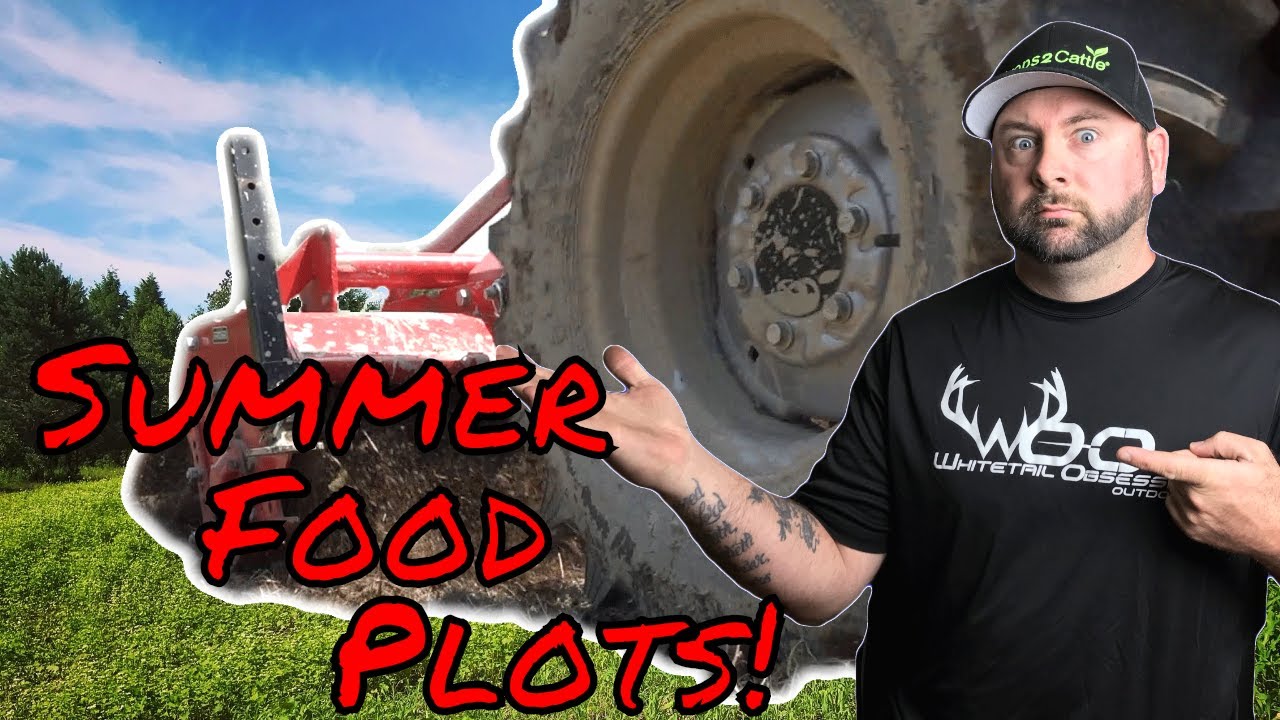 Planting Summer Food Plots For Deer! How To & What To Plant YouTube