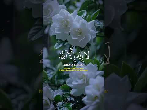TIADA TUHAN MELAINKAN ALLAH & NABI MUHAMMAD ITU UTUSAN ALLAH #zikir #lailahaillallah