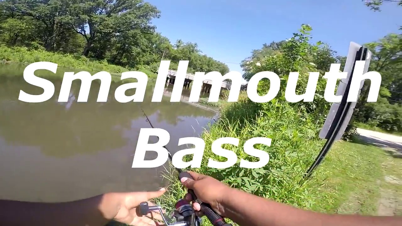 Creek Fishing For Smallmouth Bass