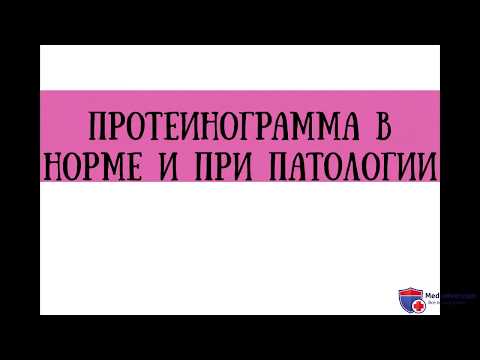 Анализ протеинограммы в норме и при патологии - meduniver.com