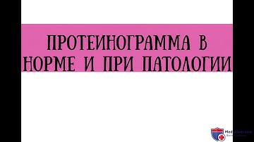 Анализ протеинограммы в норме и при патологии - meduniver.com