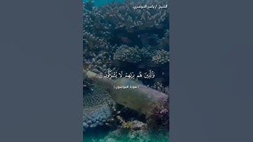 سوره المؤمنون من ايه 54 إلى الايه 59 بصوت الشيخ ياسر الدوسري❤️❤️
