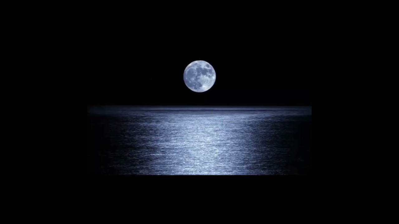 Παρακολούθηση Hawk reflection pt1 #music #blues #rock #soul #favorites στο YouTube Παρακολούθηση Hawk reflection pt1 #music #blues #rock #soul #favorites στο YouTube
