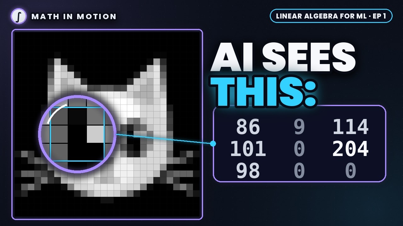What Is a Vector? How AI Turns a Cat Into 784 Numbers - YouTube