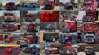 Best of 2025 Response Compilation