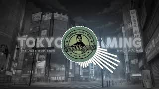 Chillhop • LoFi Rain Type Beat • Chillstep • Look Around - Letskey