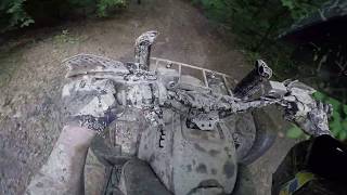 Aoaa- Pine Trails And Some Mud