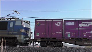 EF510-507牽引高速貨物【4K】信越本線下り3093レ