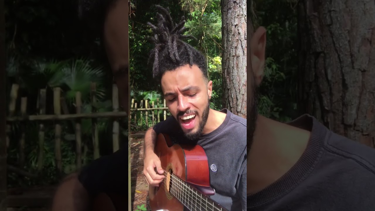 Voz e violão