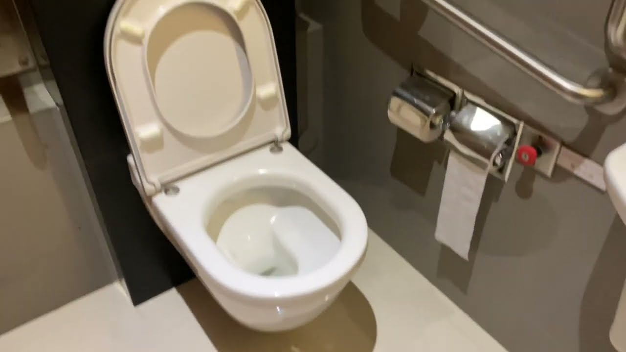 Hong Kong Toilet at Commercial Building - One Island East