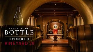 EPISODE 3 - VINEYARD 29